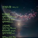 "'시산회'(詩山會) 497회 청계산('옥녀봉') 산행 사진"＜2024.11.09(토)＞ 이미지