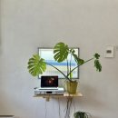 멍레스트 | 대구 칠성동 카페 레스트커피룸 대구역 카페 느좋카페