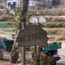 금강막국수 | [가평 막국수 맛집] 금강막국수 내돈내산 추천 후기(주차⭕ 예약⭕️)