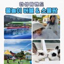 팜팜(농협경제지주(주) 안성팜랜드) | 안성팜랜드 물놀이 버블 &amp; 스몰팜_기대 이상으로 잘 놀고 온 리얼 후기