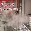 기장바로손찐빵만두