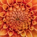 당진시 신복운로3길 이미지