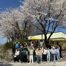 하나리더태권&파워점핑줄넘기클럽 | 국가대표하나리더 줄넘기클럽 2026 벚꽃나들이🌸 아이들의 웃음이 꽃보다 빛난 날(원주줄넘기NO.1단구동...