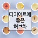 [예다인외과] 마시면서 빼는 다이어트에 좋은 차 BEST 5 이미지