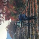 2025년 11월 23일 금산 서대산행(인물편) 이미지