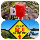 재인농장 네이버블로그