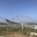 어전농장 이미지