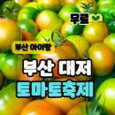 광양실내체육관 | 부산 대저토마토축제 2026 아이랑 가볼만한 나들이 일정 총정리