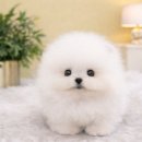 창녕동물병원 이미지