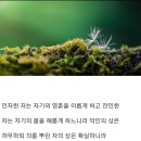 새날목장 이미지