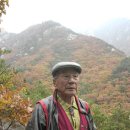 밤골공원 이미지