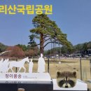 정이품송공원 화장실 이미지