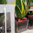 농업기술센터중부지구지소 이미지