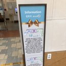 경남빌딩 | 용호동 W푸스케어 방문 후기