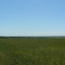 소리의 향연 이미지