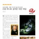 원라인코리아 이미지