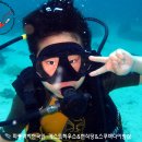 섬게스트하우스 이미지