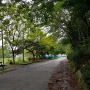 남원자연휴양림 이미지