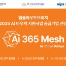 브릿지에이전트 이미지