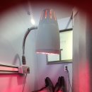 탑석정형외과의원 이미지