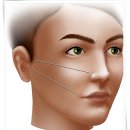 유엔아이소프트 | 광주필러 벨로테로, 앞광대 볼륨 효과는?