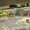 보성은하유치원 이미지