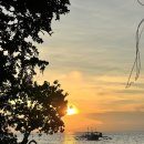 우리오토샾 | [보홀여행] 4박5일 필리핀 보홀 여행 일정/ 4일차 발리카삭 호핑투어/맛집 MOSA 모사/쇼핑 추천 후기