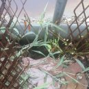 호수농장 이미지