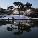 수*류 이미지