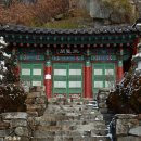 사자사지 이미지