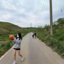 곰섬올레 이미지