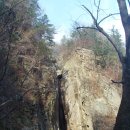 신영카포스 이미지