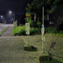 헤어아시타카 | [2025.09.] 일본_야쿠시마 트레킹