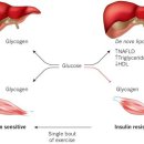 유어바디 당진점 이미지