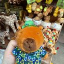 예전라이프 이미지