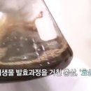 손끝차이 이미지