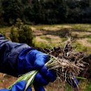 나래목장 이미지