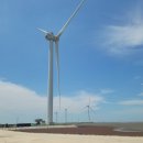 서해랑길 38코스 후기 : 답동버스정류장~하사6구버스정류장 – 2025.07.26. 이미지