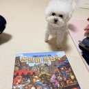 바스락게임즈 | 돌팔이 약장수 보드게임 개꿀잼