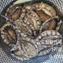 완도 활전복 (가격 인상전에 드십시오) 이미지