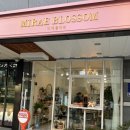 미래블라썸 이미지