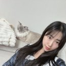 고양이집사 이미지