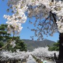 (주)세명투어