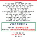 정카페(cafe) 이미지