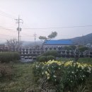 대관초등학교 이미지