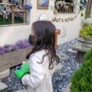 감천할머니 이미지