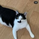 도솔쉼터 이미지