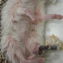 이앤박동물병원 이미지