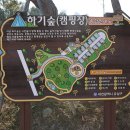 하기숲 캠핑장 이미지