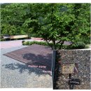 대둔산 수락캠핑장 이미지